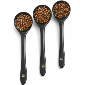 Coriandro en Grano