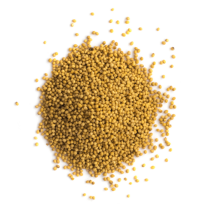 Mostaza Amarilla en Grano